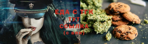 индика Алексин