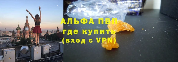 индика Алексин