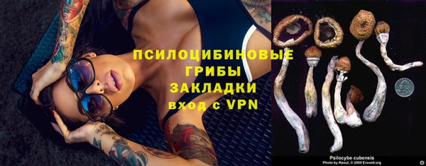 дмт Алзамай