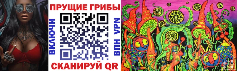 блэк спрут зеркало  Котово  Галлюциногенные грибы Magic Shrooms 